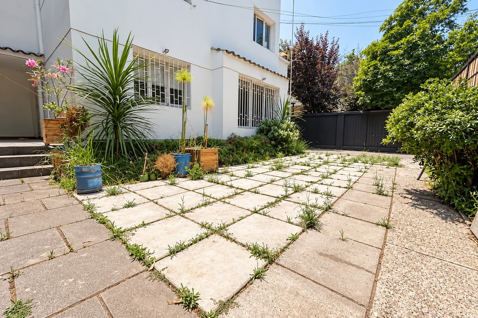 Casa en Providencia, Gran Terreno en Barrio Las Dalias — vista 4