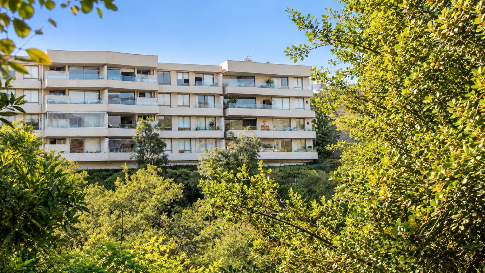 LA CUMBRE / PIE ANDINO — vista 15